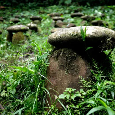 Selva amazónica